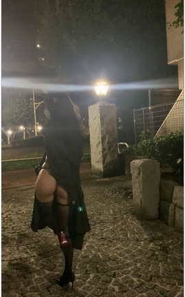 西园寺南歌-主人的任务2.0V03[2160X3840 25秒]_丽丝库