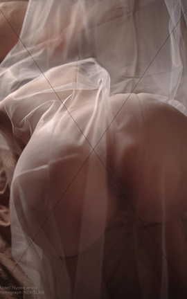 有喵酱-Sweet Dream_丽丝库