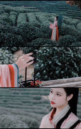 九疑 山路元无雨，空翠湿人衣_丽丝库