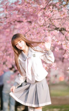 紫氯氯  贾维斯_丽丝库