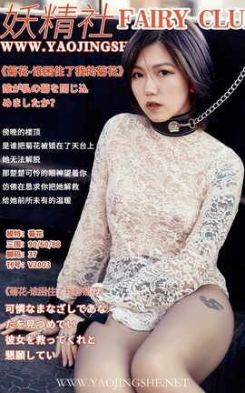 妖精社 FairyClub V2003《谁困住了我的菊花》菊花_丽丝库