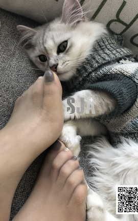 SJA佳爷 VOL.013 闺蜜视角《喵》_丽丝库