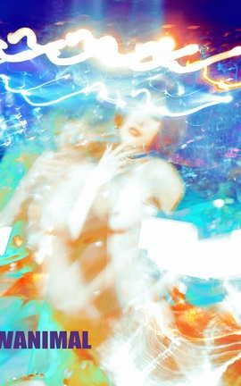 名模阿朱  摄影师分流-王动WANIMAL 2018.01_丽丝库