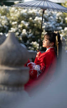 兔子zzz 深宫雪_丽丝库