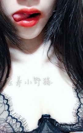 家养小野猫 尺度视图最新合集