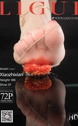 丽柜Ligui 2021.05.05 《香丝盛宴》小智贤_丽丝库