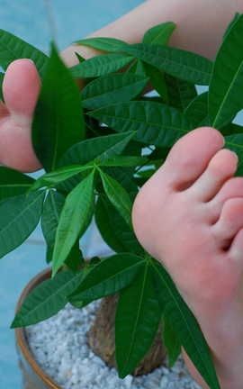 97179足模网-雯雯010_丽丝库