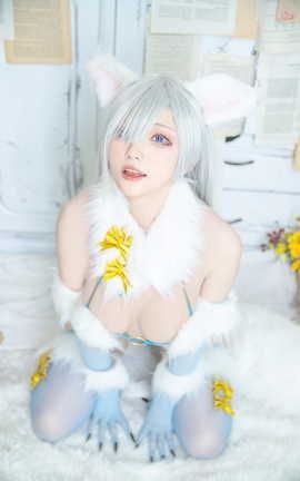 起司块wii 皇女危险野兽_丽丝库