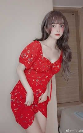 一千只猫薄禾-碎花连衣裙_丽丝库