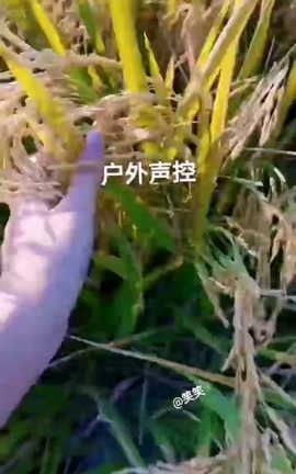 抖音六六助眠付费-2023-03-13 192903[616X1080][2分13秒]_丽丝库