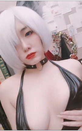 Sunnyvier 2B NekoV2[720X960 23秒]_丽丝库