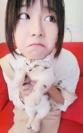 Alice布丁(布丁大法&我是一只啾&Mika啾) 小喵喵_丽丝库