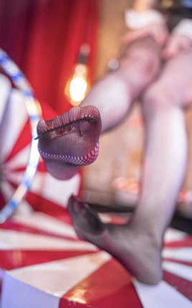 雪晴嘟嘟  原神琳妮特_丽丝库