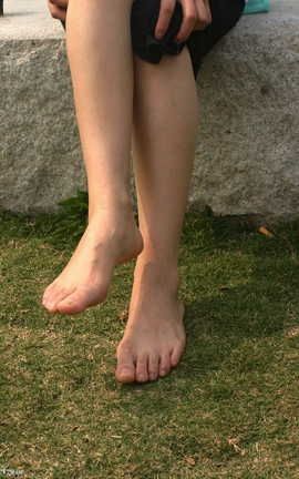 97179足模网-浪漫樱花002_丽丝库