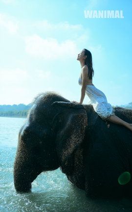 王动WANIMAL大尺度写真 2016.12 VIP图集_丽丝库