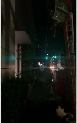 西园寺南歌-主人的任务2.0V04[2160X3840 22秒]_丽丝库