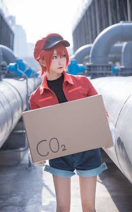 Kitaro绮太郎-工作细胞2_丽丝库