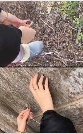 抖音六六助眠付费-小麦克风乡村户外（二）完整版[1920X1080][4分59秒]_丽丝库