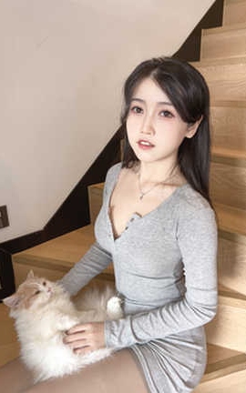 不呆猫 居家猫猫女友_丽丝库