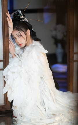 贰加六 重明鸟_丽丝库