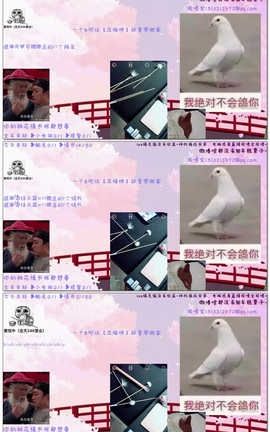 大饼-小鸽子的ASMR直播录制啃小猫咪的耳朵04-04[38分52秒][581M]_丽丝库