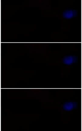 灵儿-福利秀3[09分58秒][34M]_丽丝库