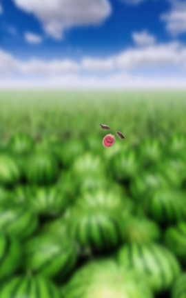 娜娜Sweet-大西瓜略略略[1080X1920][6分21秒]_丽丝库