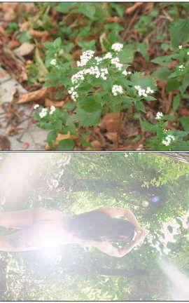 韩国写真SAINT Photolife VOLJeon Bo Yeon Vol 3 MILK[1280X720 1分20秒]_丽丝库