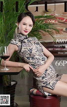 丽柜LiGui写真 2017.11.27 模特 AMY