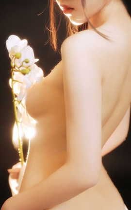 不呆猫 - 和服_丽丝库