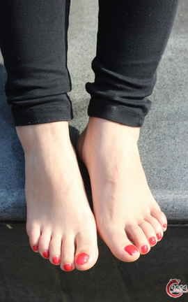 誉铭传媒(中学生棉袜套图)《六十七》_丽丝库