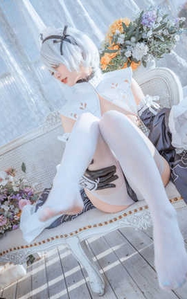 桃良阿宅 女仆2B_丽丝库