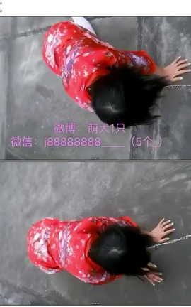 萌犬1只-ZW露出视频合集 part1_丽丝库