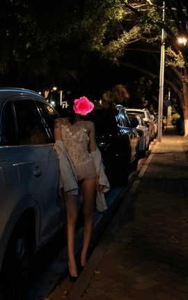 婉芳作品-风花雪月不常有_丽丝库