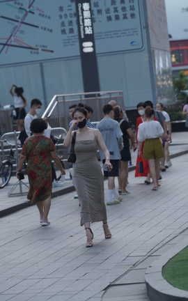 精选街拍作品 NO.1460 性感包臀裙美女_丽丝库