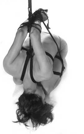 Twitter高兴 GAOXing 緊縛師 GAOXINGS part2_丽丝库