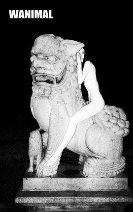 王动WANIMAL大尺度写真 2016.09 VIP图集_丽丝库