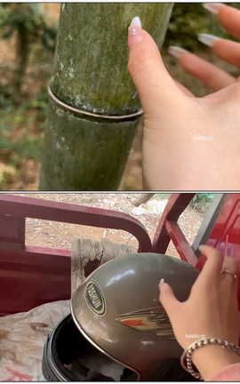 抖音六六助眠付费-深山老林助眠完整版[1920X1080][6分45秒]_丽丝库