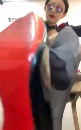 套路直播-未分类-5_6246707212484346589[544X960][46分7秒]_丽丝库