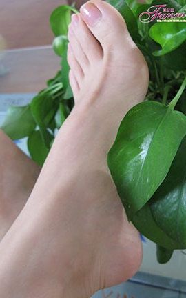 芬妮玉足Fannie No.445