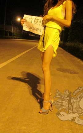 东宫b000888原创作品 傍晚公路边_丽丝库