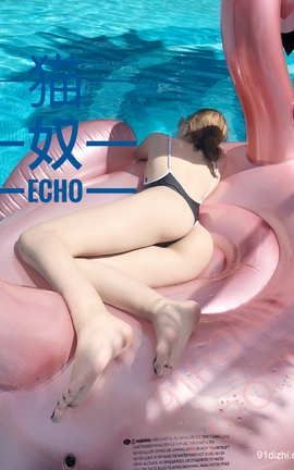 武汉猫奴echo-三亚_丽丝库