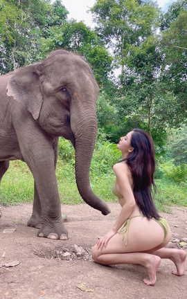 就是阿朱啊 人来人往_丽丝库