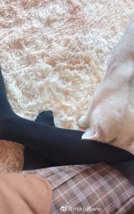 Miko酱ww-西式 咖啡黑丝_丽丝库