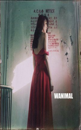 王动WANIMAL大尺度写真 2014.11 VIP图集2_丽丝库