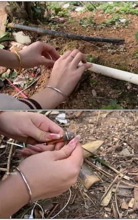 抖音六六助眠付费-户外系列二[1920X1080][1分24秒]_丽丝库