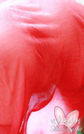 迷丝兔大尺度丝袜写真 No.044 丝间舞（下）_丽丝库