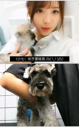 小女巫露娜-家有恶犬vlog[858X480][2分22秒]_丽丝库