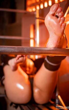 Sameki 二号B型_丽丝库